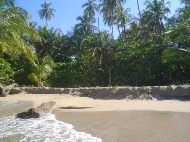 Sunrise Beach Hotel Puerto Viejo de Talamanca Εξωτερικό φωτογραφία