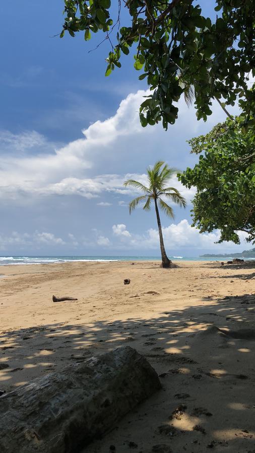 Sunrise Beach Hotel Puerto Viejo de Talamanca Εξωτερικό φωτογραφία